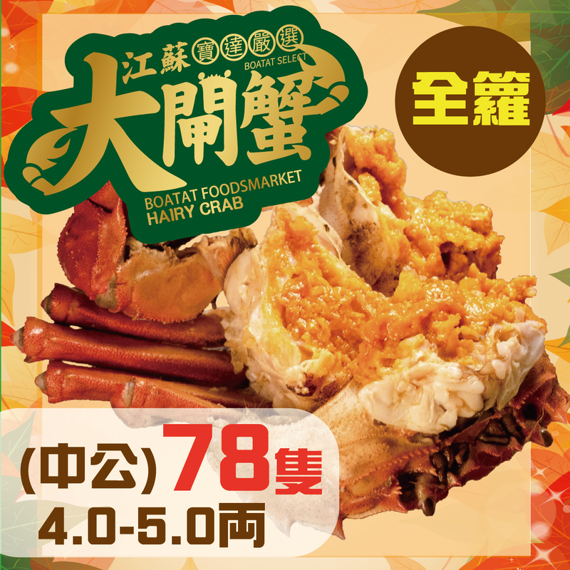  門市_線上預訂:江蘇大閘蟹 (中公) 4.0-5.0両 <78隻> 全籮(提早預訂, 每日4點截單