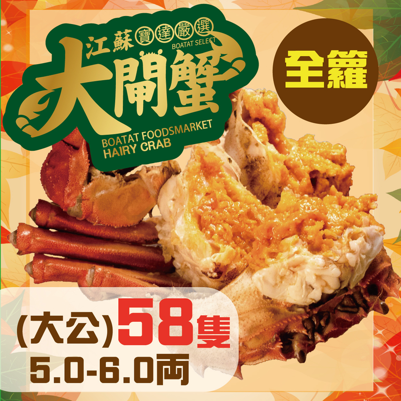 門市_線上預訂:江蘇大閘蟹 (大公) 5.0-6.0両 <<58隻>> 全籮(提早預訂, 每日4點截單)