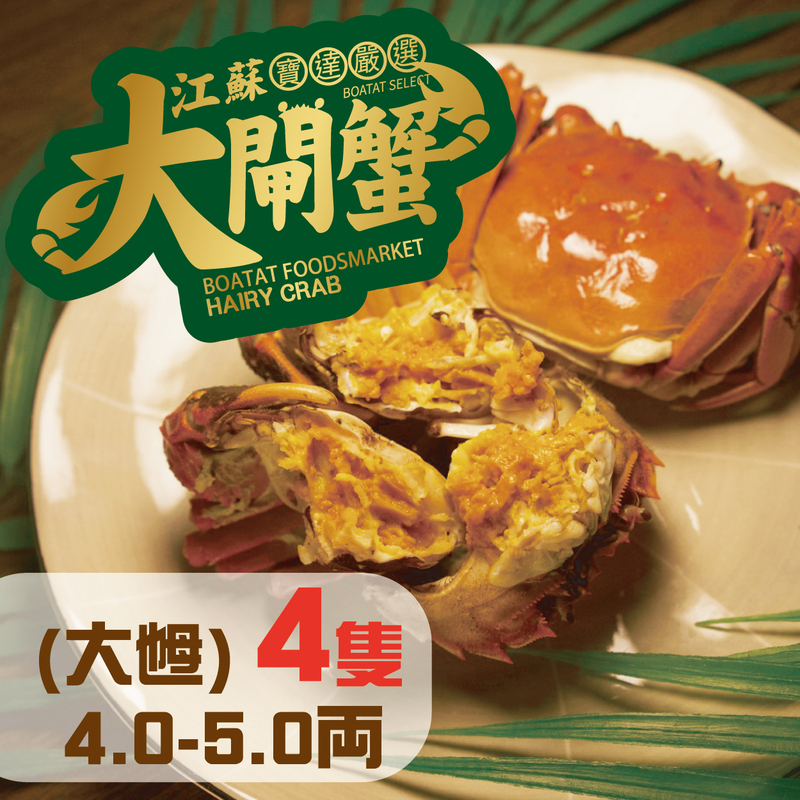 門市_線上預訂:江蘇大閘蟹 (大乸) 4.0-5.0両 <4隻>(提早預訂, 每日4點截單)