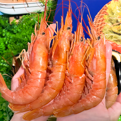 阿根廷紅蝦刺身 L1 20-40隻入 2kg