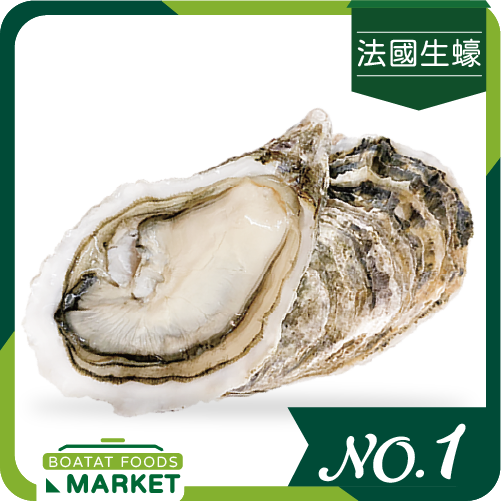 法國特級雅麗嘉詩生蠔 No.1 (單隻)