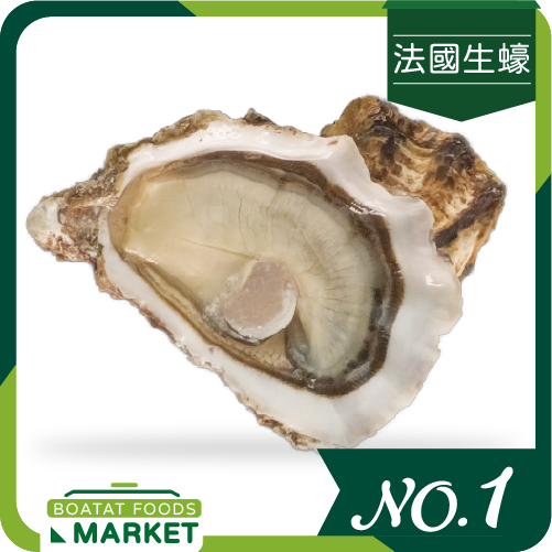 法國 Brian Prieur No.1