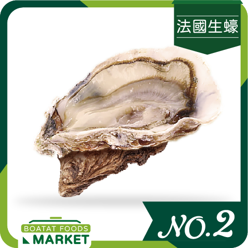 法國 Cavalerie8 騎士團8號特選 No.2 (單隻)