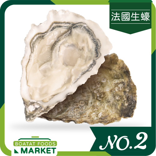 法國 St. Vaast 聖雅斯蠔 No.2