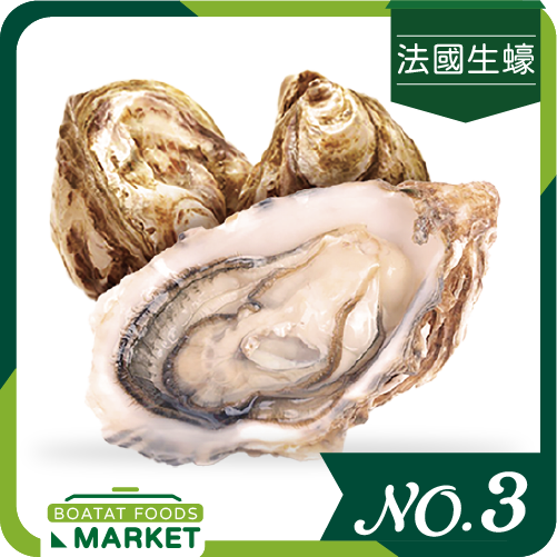 法國 Special Lady 粉紅佳人 No.3 (單隻)