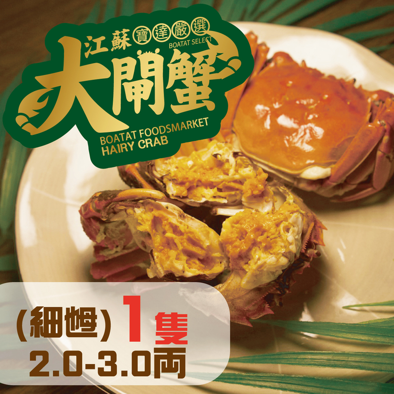 門市_線上預訂江蘇大閘蟹 (細乸) 2.0-3.0両<1隻>(提早預訂, 每日4點截單)