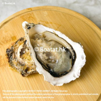 [Pre-Order] Japan Hokkaido Oyster