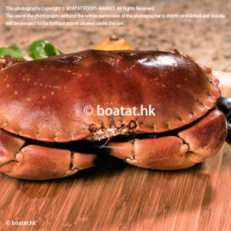 Wild Seas - Brown Crab (cooked)600-800g