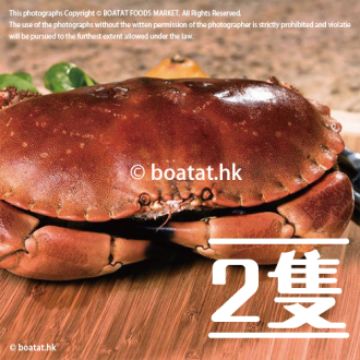 Wild Seas - 英國熟麵包蟹 400-600g (兩隻)