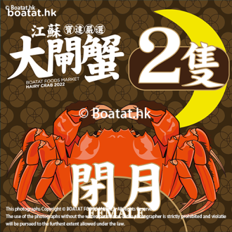 <<2隻>>江蘇大閘蟹 "閉月" 【6.0-7.0港両】