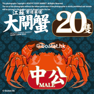 <<20隻>>江蘇大閘蟹 (中公) 4.0-5.0両 