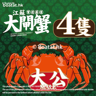 <<4隻>>江蘇大閘蟹 (大公) 【5.0-6.0港両】