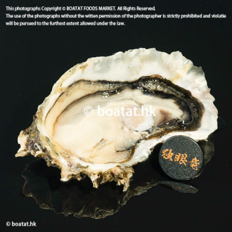 [需預訂]日本宮城縣 獨眼龍生蠔 L