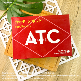加拿大 ATC 牡丹蝦刺身XJ