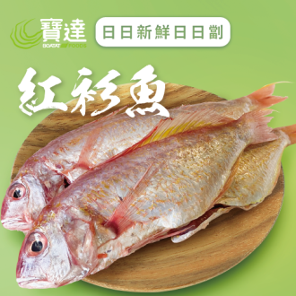紅衫魚 (已去除魚鱗及內臟) (急凍)