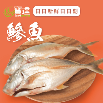 鰺魚 (已去除魚鱗及內臟)(急凍)《只限送貨》