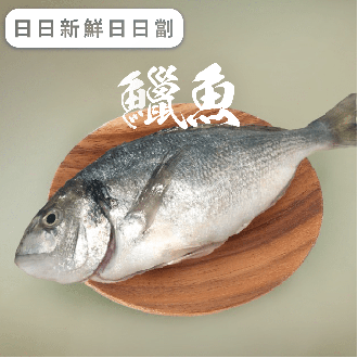 鱲魚 (已去除魚鱗及內臟)(急凍)《只限送貨》