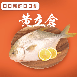 黃立倉 (已去除魚鱗及內臟)(急凍)《只限送貨》