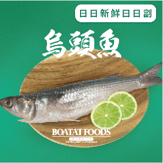 活凍烏頭魚 (已去除魚鱗及內臟)(急凍)《只限送貨》
