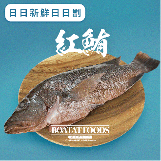 紅鮪 (已去除魚鱗及內臟)(急凍)《只限送貨》