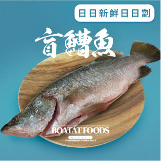 盲鰽魚 (已去除魚鱗及內臟) (急凍)