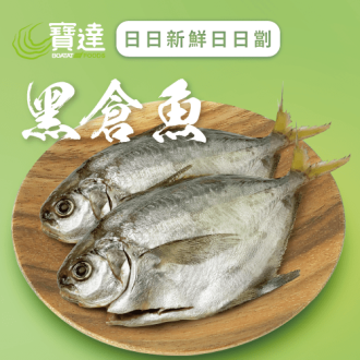 黑倉魚 (已去除魚鱗及內臟)(急凍)《只限送貨》