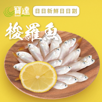 梭羅魚  (急凍)