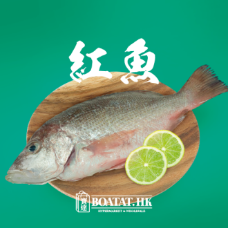 紅魚 (急凍) (已去除魚鱗及內臟)