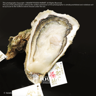 [Pre-Order] Japan Iwate ken Oyster (6pcs)