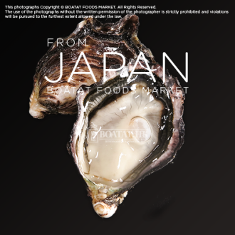 [Pre-Order] Japan Hyogo Oyster