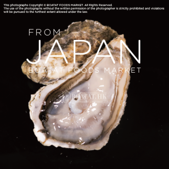 [Pre-Order] Japan Hokkaido Akkeshi Oyster