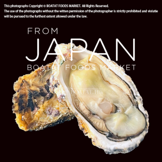 [需預訂]日本兵庫縣浜中相生の恵生蠔