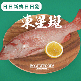 東星斑 (已去除魚鱗及內臟) 
