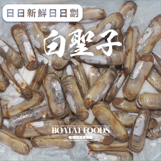 白蟶子