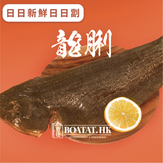 龍脷 (撻沙) (已去除魚鱗及內臟)