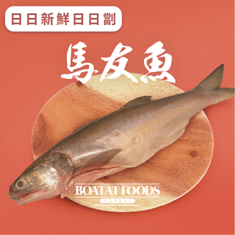 馬友魚 (急凍) (已去除魚鱗及內臟) 