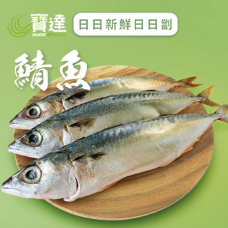 鯖魚 (已去除魚鱗及內臟)