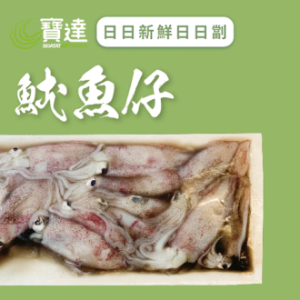 魷魚仔 (急凍)