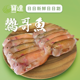 鸚哥魚 (急凍) (已去除內臟) 