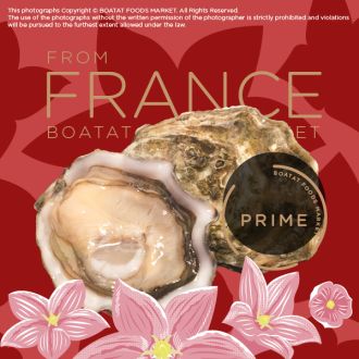 法國l'amour皇室寶至尊 Prime (6隻入)