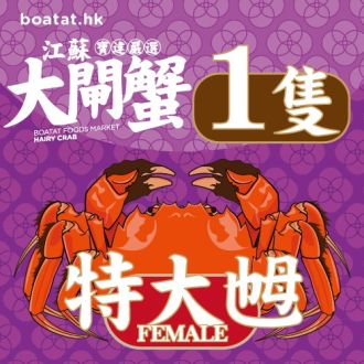 江蘇大閘蟹 (特大乸)【5.0-5.5港両】